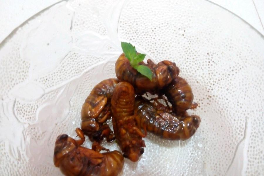香酥金蝉