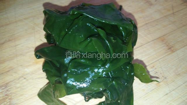 裙带菜洗净