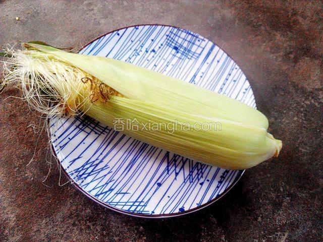 一个新鲜的玉米