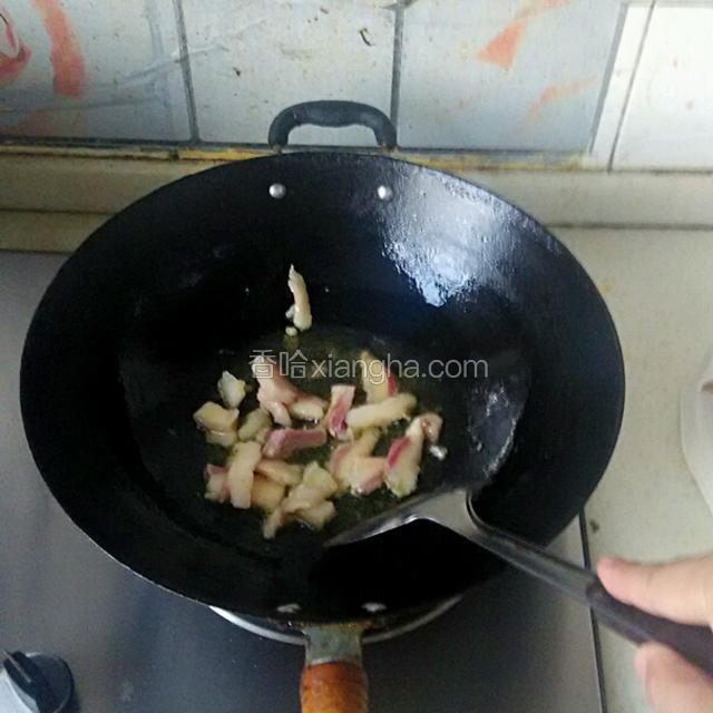 锅烧热放油，下五花肉炒出油。