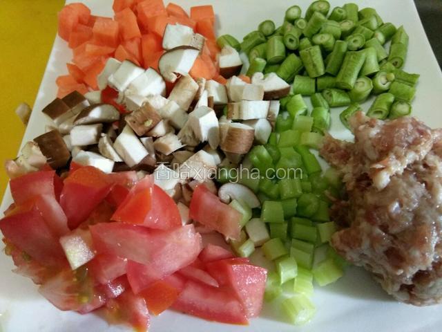 蔬菜配料，胡萝卜，豆角，香菇，西红柿，芹菜，猪肉碎