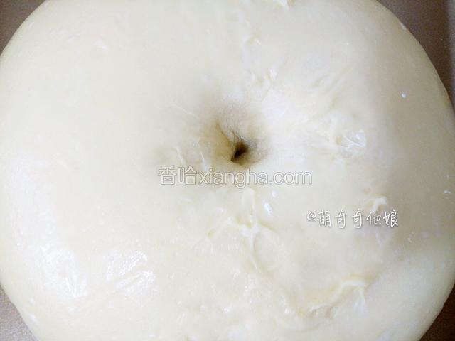 发酵至原来的两倍大，即发酵一倍大，手指沾干粉戳洞回缩不回缩即可。