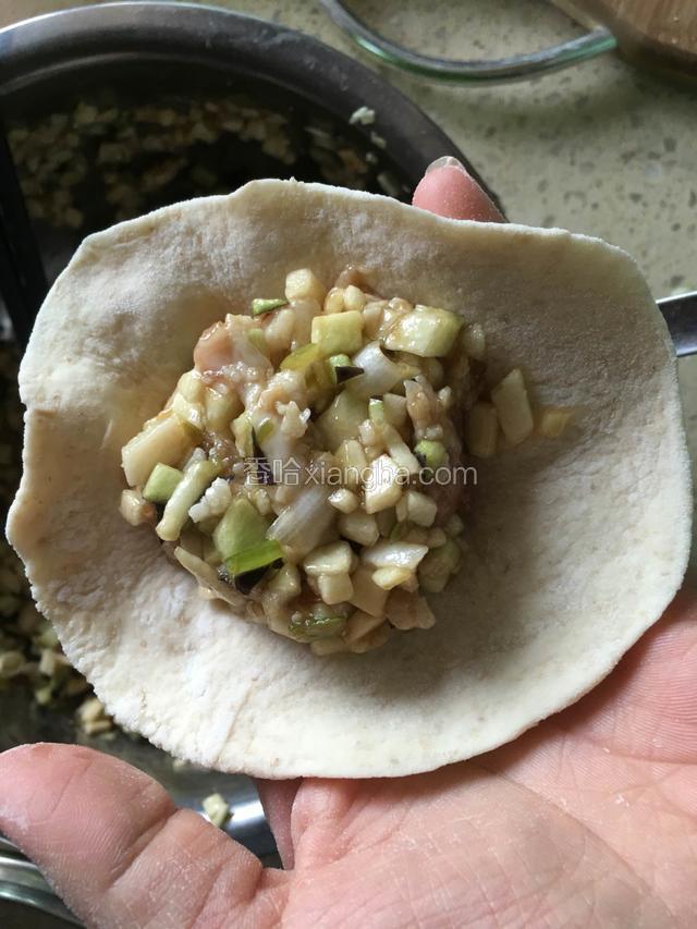 取一个包子皮，放入适量的猪肉茄子馅儿。