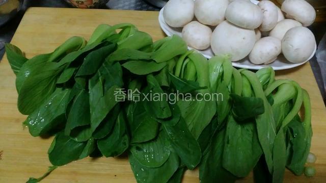 鲜口蘑，小油菜洗净
