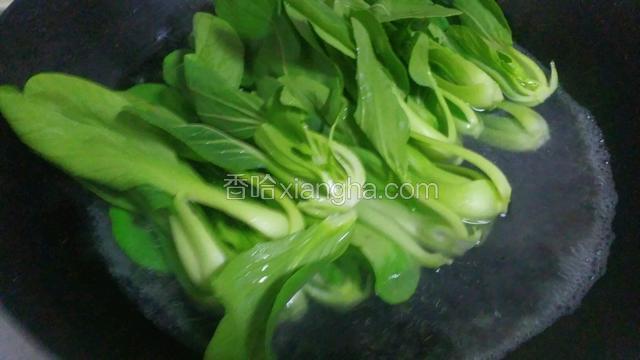 放入油菜焯水