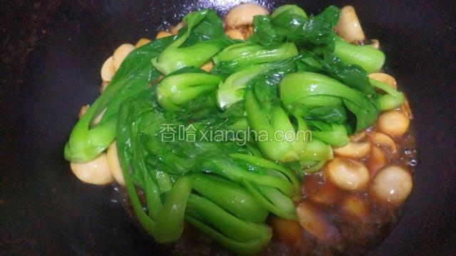 加入油菜