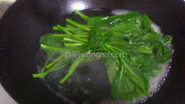 芥蓝焯水，做个小配菜