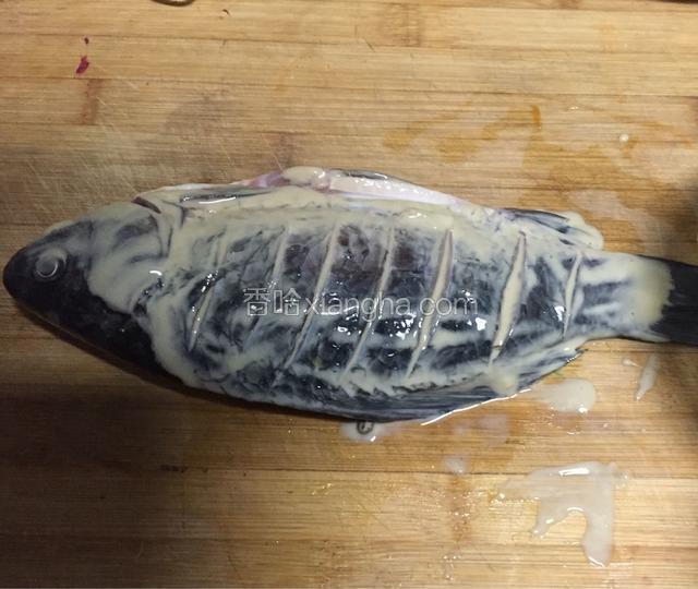 腌制好的鲫鱼抹上淀粉液