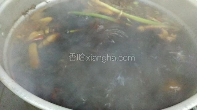 加入炒熟的酱油，加入葱，姜，蒜，芹菜，胡萝卜，香菜。洋葱，酒大火炖煮