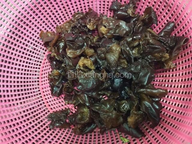 木耳提前泡发好，用盐刷洗干净后上锅，水滚煮两三分钟捞出来沥干水份，撕成小朵。