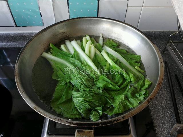 小白菜摘洗干净，然后放锅中焯水过凉
