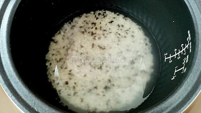 淘洗两遍后加入适量清水浸泡一个小时。（我一般添水至中指的第一个指关节再往下一点。）