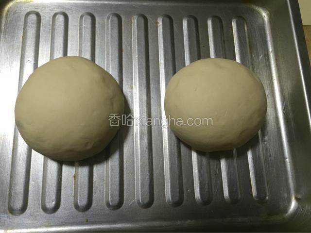 把两个面团放在刷了油的烤盘上，再次等待发酵两倍大(在烤盘的下方放上一盆热水发的快)