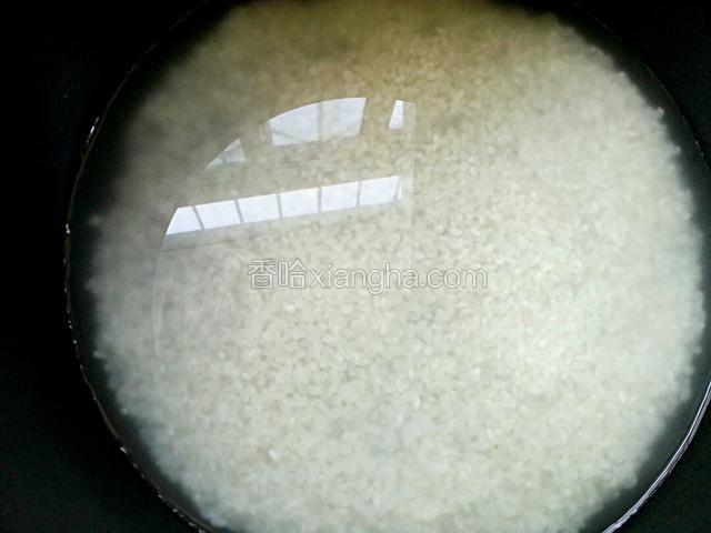 大米清洗干净，用清水浸泡二十分钟，通电焖