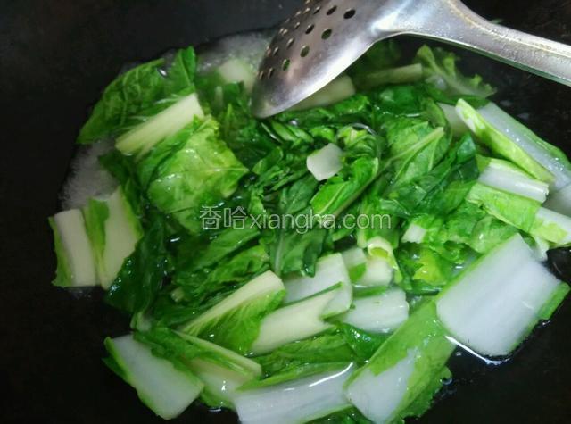 小白菜入开水绰烫一下，捞出备用