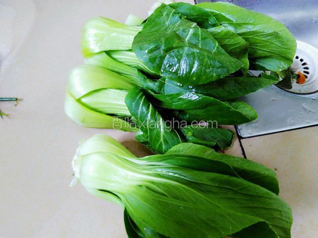 用手把上海青的叶子撕开