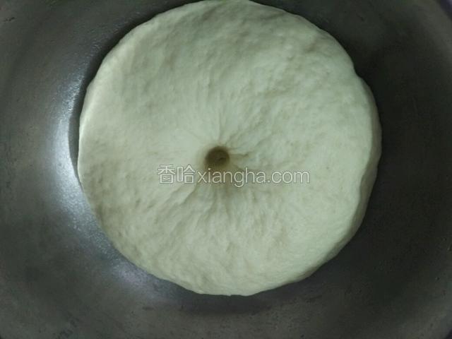 发酵好的面团用食指戳一下不回弹就表示发好了