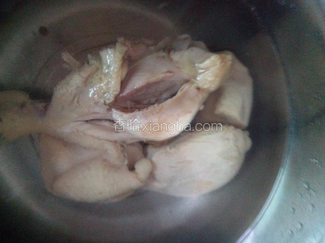 将鸡肉捞起，迅速投入冰水中。