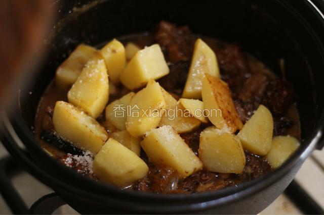 大火煮开后，小火炖煮40分钟。直到筷子能顺利插入牛腩。中途观察水分有没煮干。然后捞出生姜、桂皮、八角、大葱、干红辣椒。将煸好的土豆放入锅中，调入盐，继续小火炖煮二十分钟。直到汤汁收浓即可，千万别把汤给煮干了。