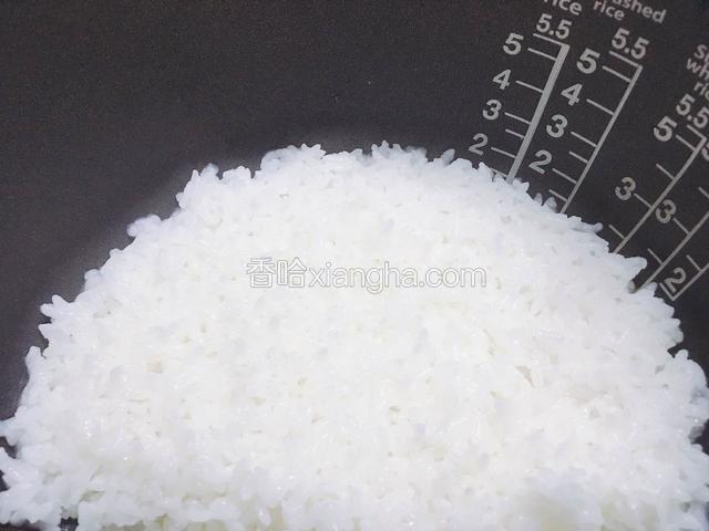 大米用电饭煲煮成大米饭。