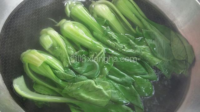 上海青六棵。洗净在开水中焯一下。锅中放盐，放几滴油。