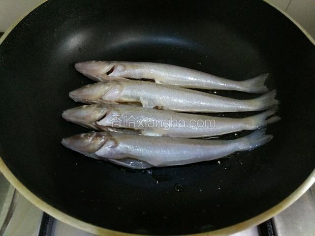 热油锅放沙丁鱼入锅煎