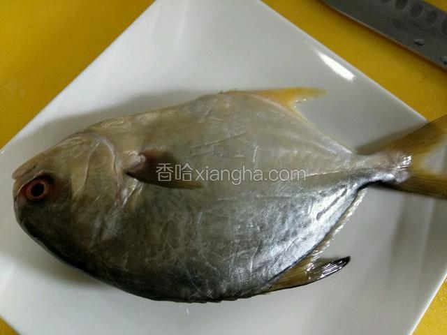 鲳鱼洗干净，控干水，抹盐，料酒腌一下