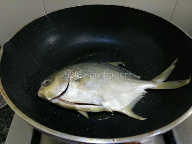 热油锅放鲳鱼入锅煎