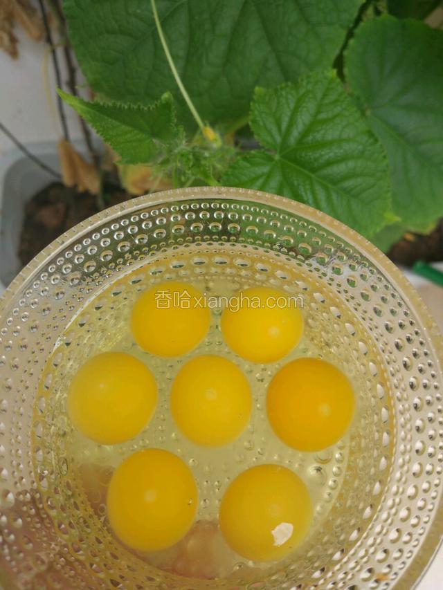 新鲜的七彩山鸡蛋蛋白清澈透明，蛋黄饱满弹润。