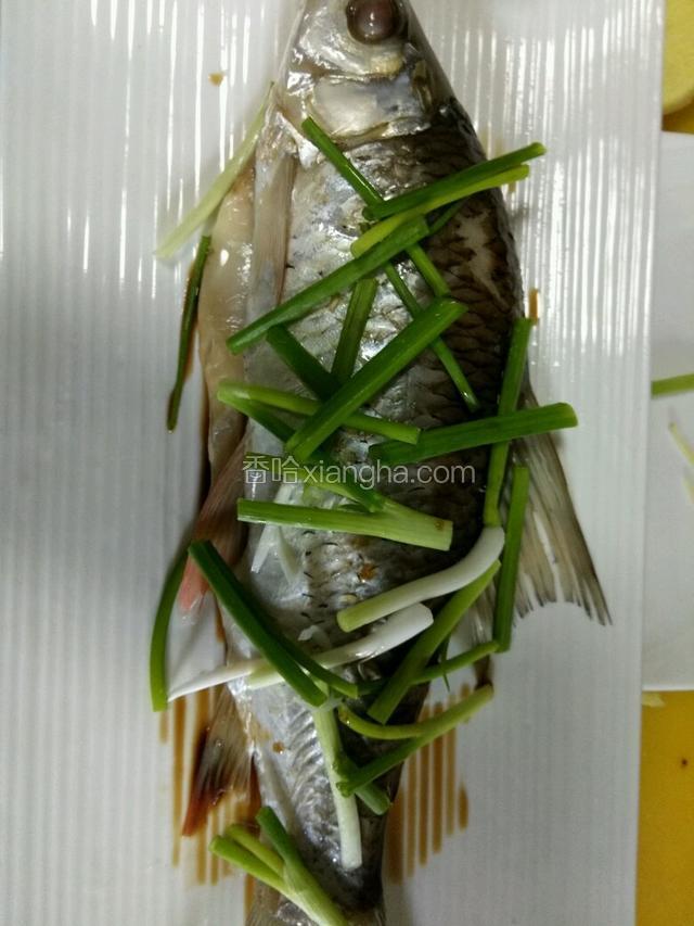 把蒸熟的鱼去掉姜丝，淋上蒸鱼豉油，撒上葱段，浇上滚油（为了效果图我蒸熟换了碟子，自己家里不用这么麻烦的）