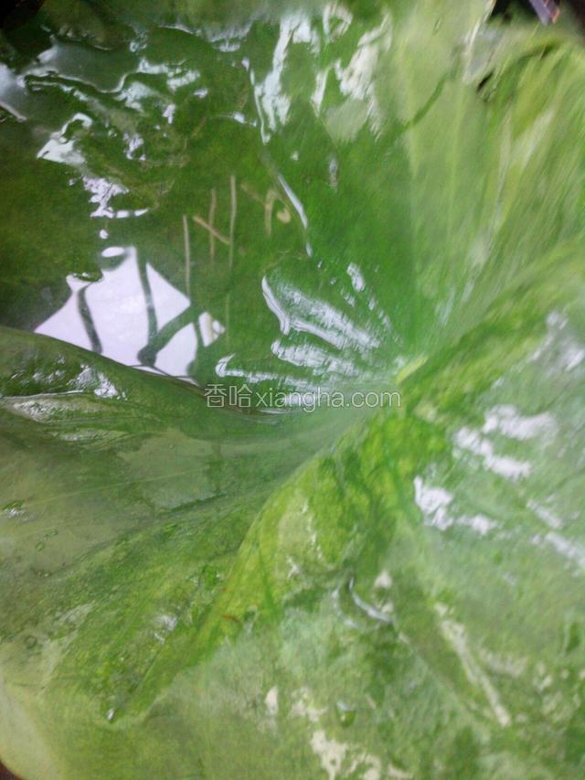 新鲜荷叶洗净，煮一锅水，将荷叶烫变色变软。