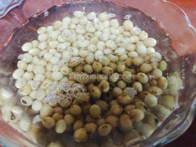 我用的黄豆是老家自己种的、打磨出来特别香浓、黄豆洗净浸泡半小时、