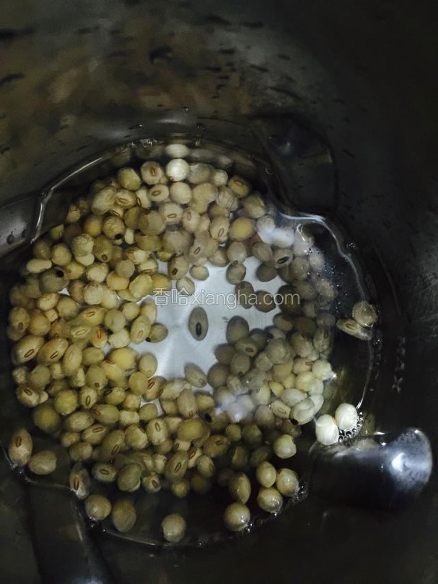 看自己喜欢喝淡点的豆浆还是浓的豆浆、把豆子放入豆浆机加入适量的水