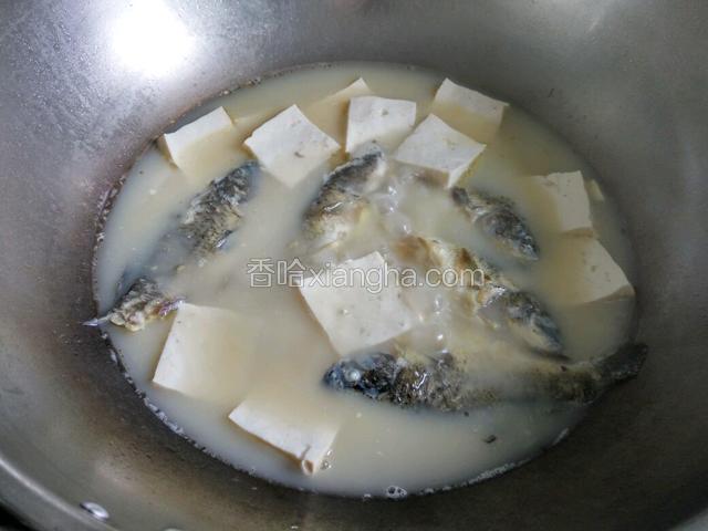在放入豆腐，放少量的猪油，加入适量的盐煮至豆腐入味