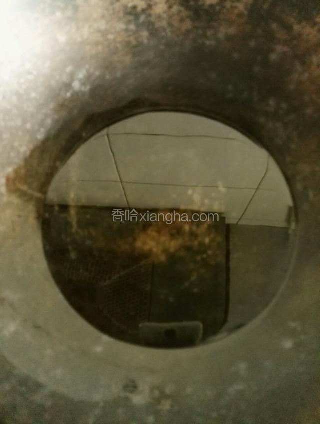 锅小火烧热，放入适量油