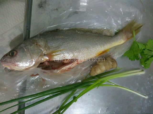 准备好食材，洗干净
