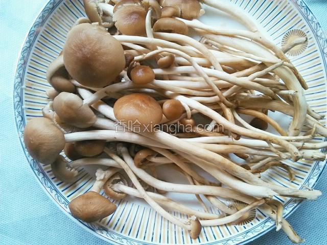 茶树菇清理好洗净
