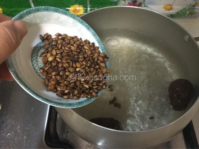 煮开后加熟大麦，继续煮十分钟左右，关火，泡上几分钟，就可冲饮。