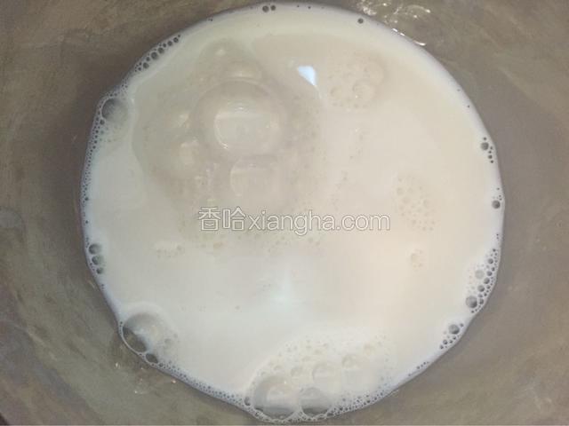 将纯牛奶倒入打蛋盆内，加入淡奶油和炼奶