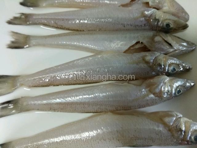 沙丁鱼洗干净，控干水备用
