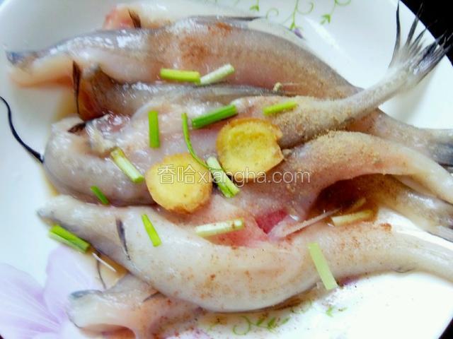 用葱姜黄酒，盐，白胡椒，五香粉腌制十五分钟