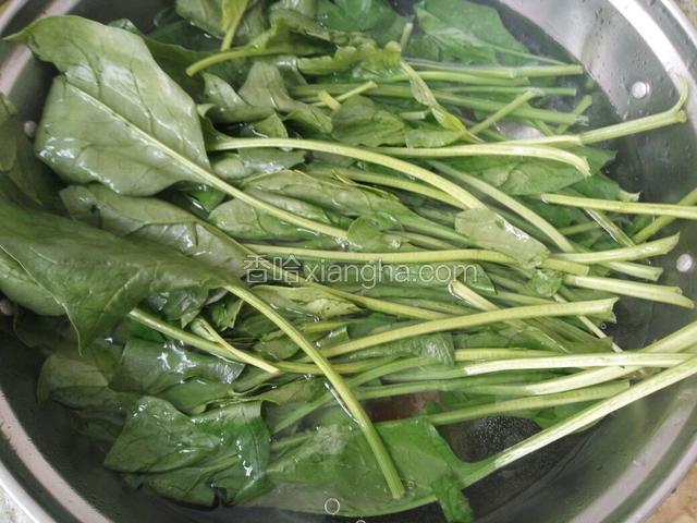 菠菜择好，洗净