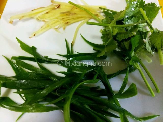 姜丝，葱丝，香菜备料