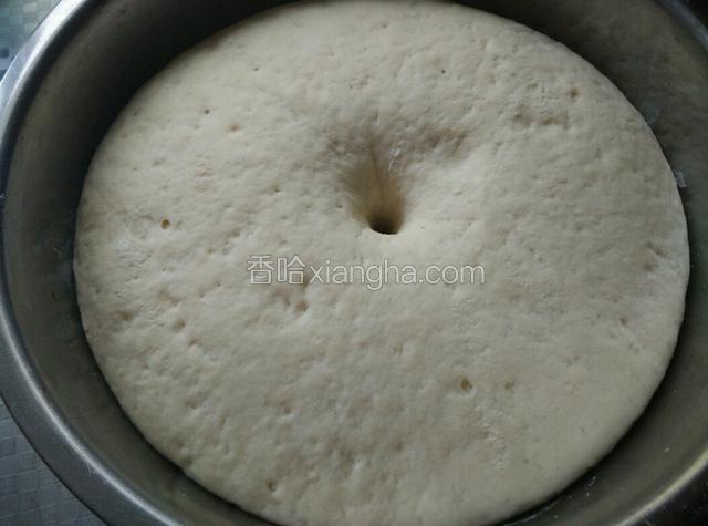 面团发酵至手指插进面团不塌陷不反弹后揉搓排气后醒10分钟