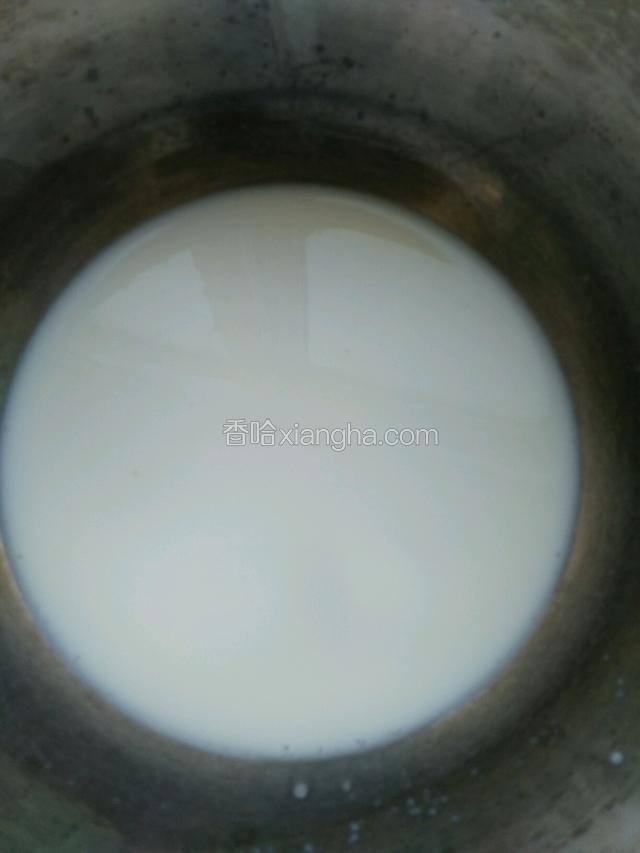 盆里放牛奶