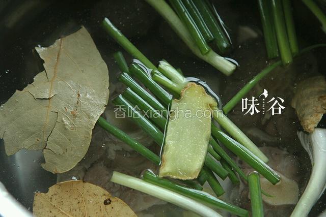 把牛肉放锅内 ，放入香叶，葱，大火煮开后小火炖一个小时，至汤变白。