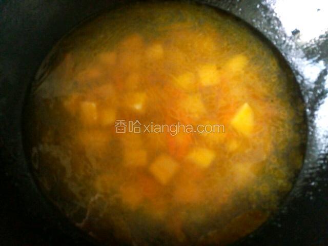 加入适量清水，大火烧开转小火开炖。