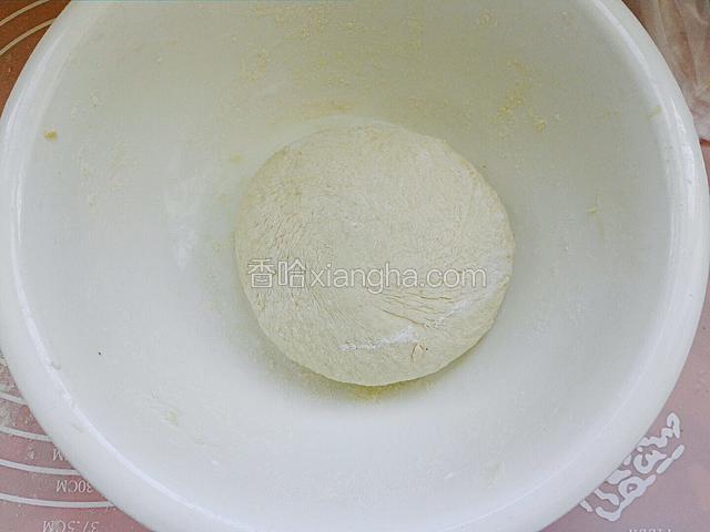 盖上保鲜膜室温饧发二小时
