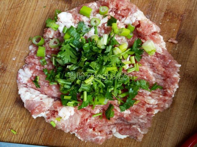 猪肉加葱花和香菜剁成馅儿