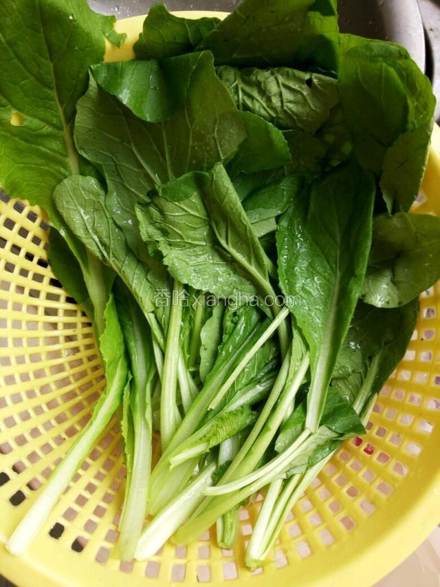 小白菜洗净